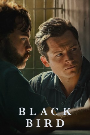 Hắc Điểu (Phần 1) Black Bird (Season 1)