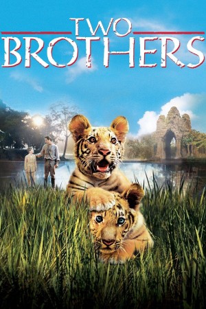 Hai Anh Em Hổ Two Brothers