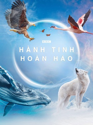 Hành Tinh Hoàn Hảo A Perfect Planet