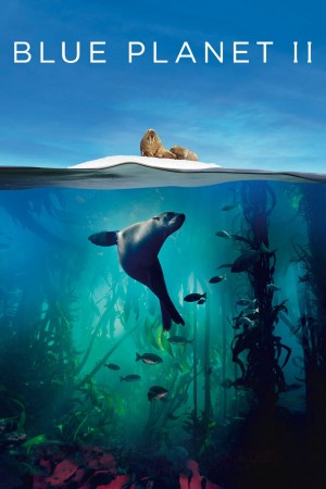 Hành Tinh Màu Xanh Dương 2 Blue Planet II