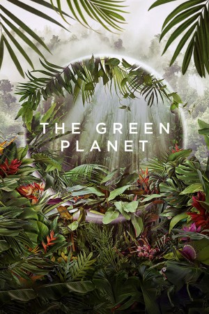 Hành Tinh Xanh The Green Planet