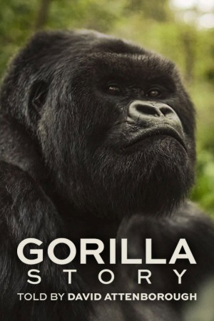 Hành Trình Của Khỉ Đột – Qua Giọng Kể David Attenborough A Gorilla Story: Told by David Attenborough