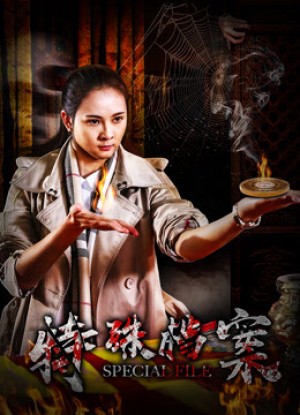 Hồ sơ đặc biệt Special File