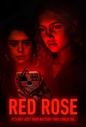 Hoa hồng đỏ Red Rose