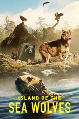 Hòn đảo của sói biển Island of the Sea Wolves