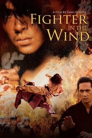 Huyền thoại võ sĩ Fighter in the Wind