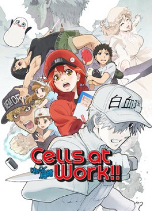 Khi Các Tế Bào Làm Việc (Phần 2) Cells at Work! S2