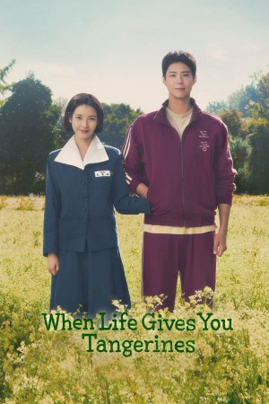 Khi Cuộc Đời Cho Bạn Quả Quýt When Life Gives You Tangerines