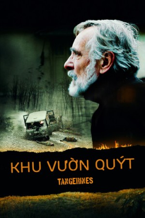 Khu Vườn Quýt Tangerines