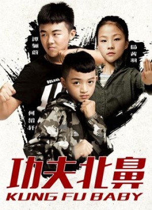 Kung Fu Baby Kung Fu Baby