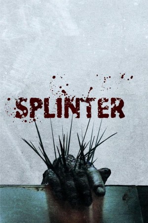  Ký Sinh Dưới Da Splinter