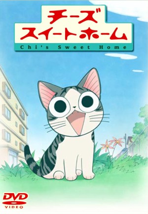 Mái Ấm Của Mèo Chi Chi's Sweet Home