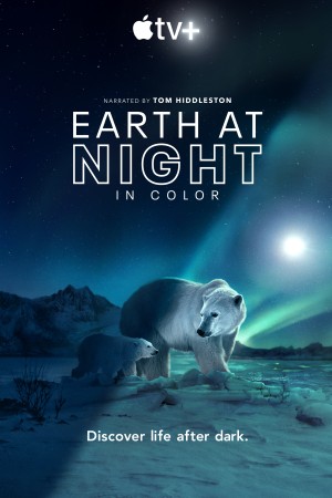 Màn đêm trên Trái Đất Night on Earth