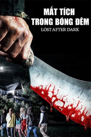 Mất Tích Trong Bóng Đêm Lost After Dark
