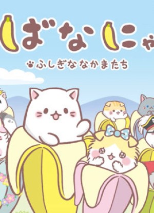 Mèo Chuối Tiêu Người Bạn Kì Diệu Bananya and the Curious Bunch