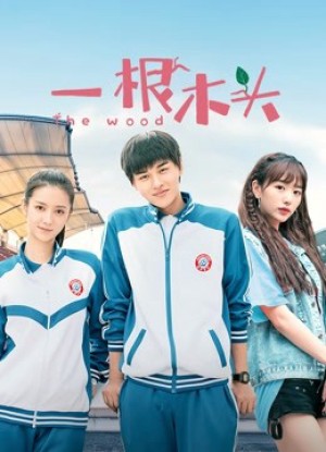 Một Khúc Gỗ Mùa 1 一根木头第一季