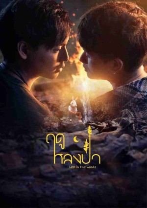 Mùa Lạc Trong Rừng Lost in the Woods