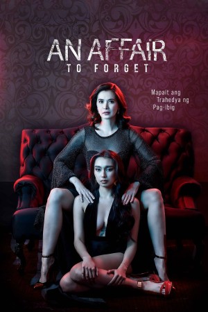 Ngoại Tình An Affair to Forget