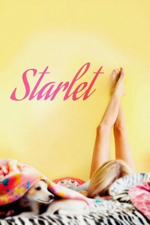 Ngôi sao Starlet