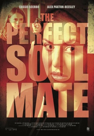 Người Bạn Tâm Giao The Perfect Soulmate