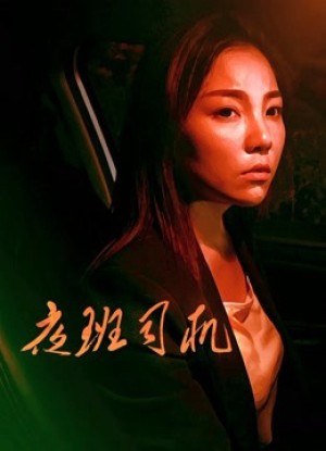 Người lái xe vào ca đêm Driver on Night Shift
