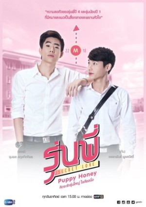 Người Tình Cún Con Secret Love - Puppy Honey