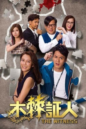 Nhân Chứng Rắc Rối The Witness