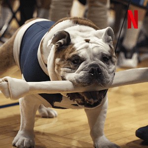 Những chú chó (Phần 2) Dogs (Season 2) 