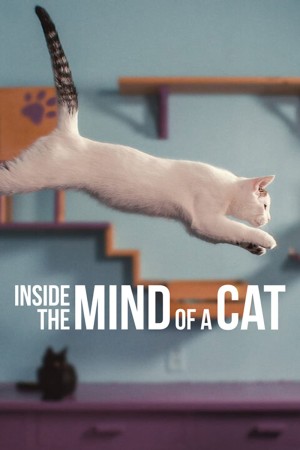 Những chú mèo nghĩ gì Inside the Mind of a Cat