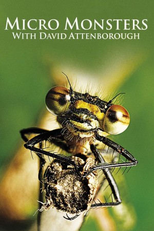 Những Quái Vật Tý Hon Micro Monsters 