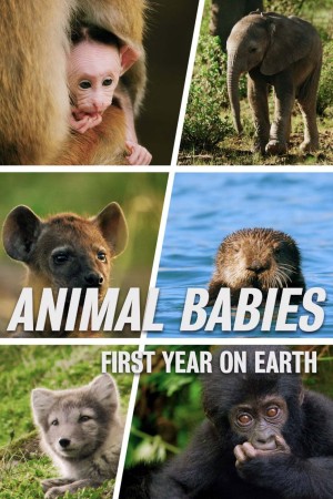 Những Sinh Linh Non Nớt: Năm Đầu Tiên Trên Trái Đất Animal Babies: First Year On Earth