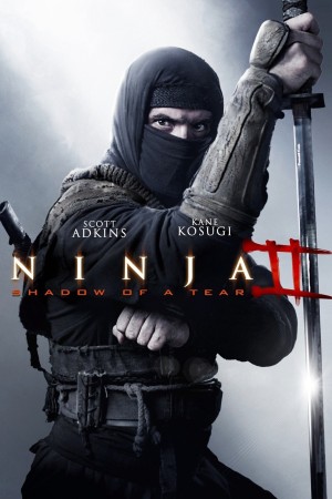 Ninja Báo Thù Ninja: Shadow of a Tear