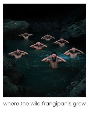 Nơi hoa sứ dại mọc Where the Wild Frangipanis Grow