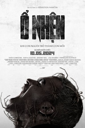 Ổ Nhện Infested
