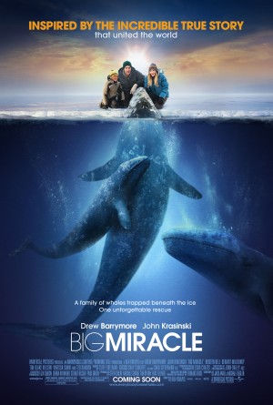 Phép Màu Big Miracle