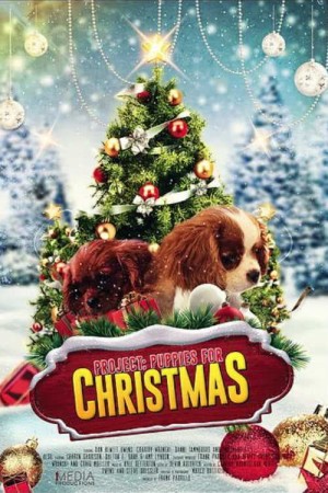 Quà Giáng Sinh Bất Ngờ Project: Puppies for Christmas