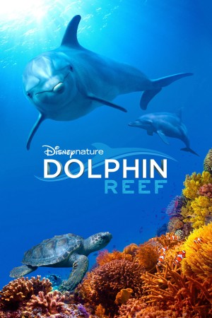 Rạn San Hô Cá Heo Dolphin Reef