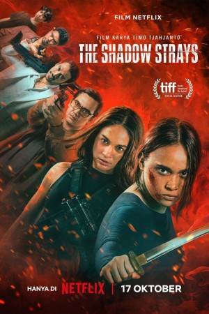 Sát Thủ Mật Danh 13 The Shadow Strays