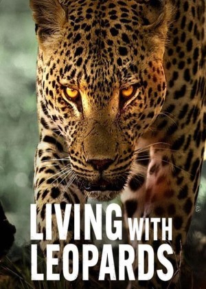 Sống cùng báo hoa Living with Leopards