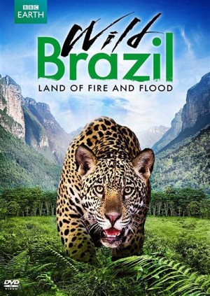 Thiên Nhiên Brazil Hoang Dã Wild Brazil