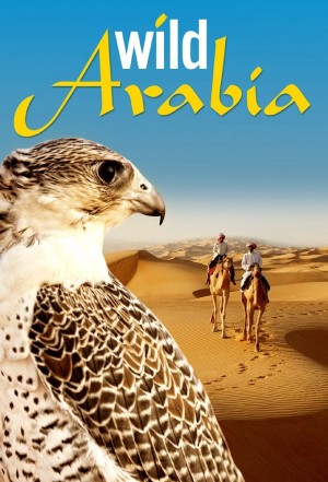 Thiên Nhiên Hoang Dã Ả Rập  Wild Arabia