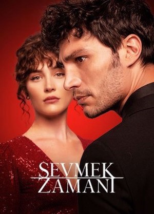 Thời gian yêu Sevmek Zamani (Time To Love)