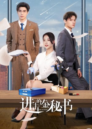 Thư Ký Kim Tấn Công Jin Secretary
