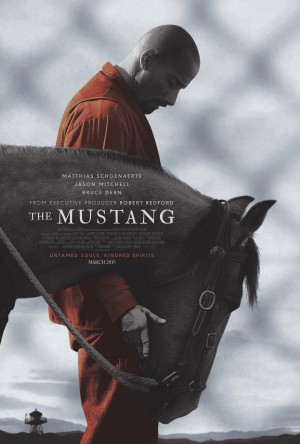 Thuần Hóa The Mustang