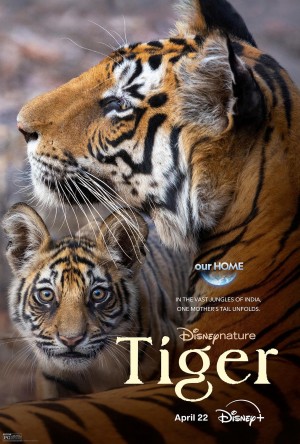 Tiger Tiger