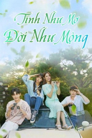 Tình Như Mơ Đời Như Mộng Beautifull Love, Wonderful Life