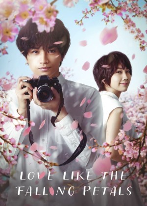 Tình yêu như cánh hoa rơi Love Like the Falling Petals
