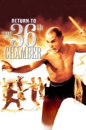 Trở Lại Thiếu Lâm Tam Thập Lục Phòng Return to the 36th Chamber