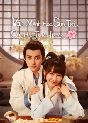 Vận Mệnh Hoa Sơn Trà Của Hứa Thuần Thuần A Camellia Romance