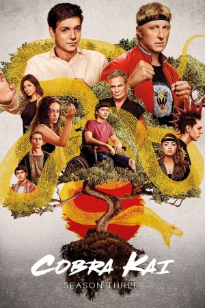 Võ Đường Cobra Kai (Phần 3) Cobra Kai (Season 3)